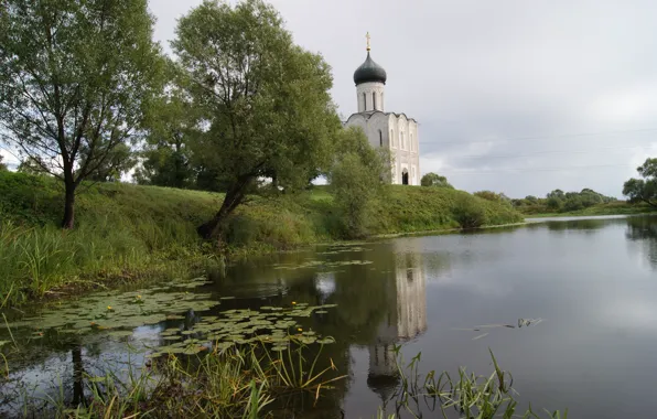 Деревья, Вода, кувшинки, Покрова на Нерли