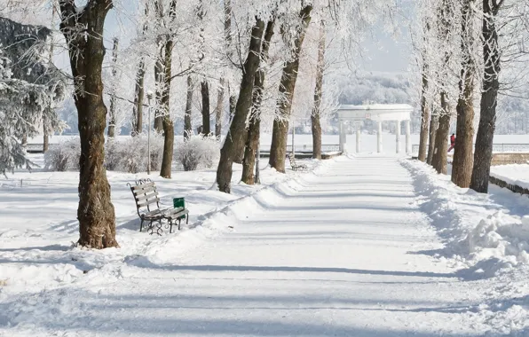 Картинка зима, снег, парк