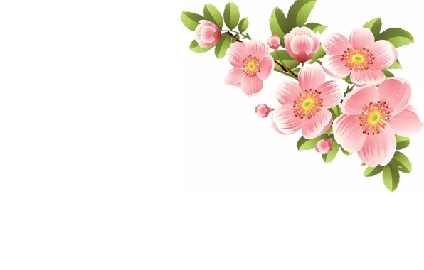 Обои цветы, веточка, весна, арт на телефон и рабочий стол, раздел минимализм,  разрешение 2324x1524 - скачать