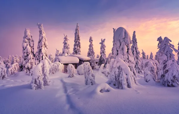 Картинка зима, снег, деревья, сугробы, домики, Финляндия, Finland, Lapland