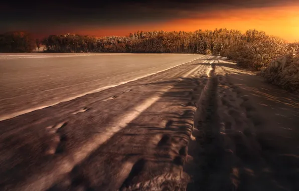 Картинка зима, лес, снег, обработка, Winter Walk