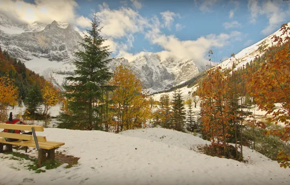 Картинка зима, лес, небо, облака, снег, деревья, горы, скамейка