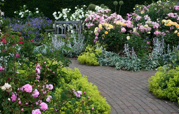 Цветы, скамейка, сад, дорожка, Великобритания, Devon, Rosemoor Garden