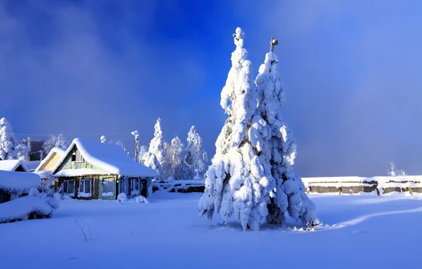 Картинка зима, дом, двор