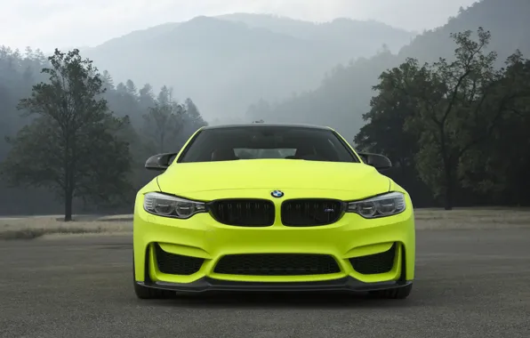 BMW, Front, Yellow, Mountains, F82, Sight