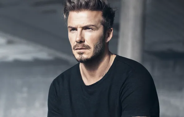 Adidas shop beckham 2018