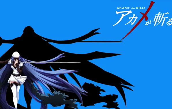 Синий фон, Esdeath, akame ga kill