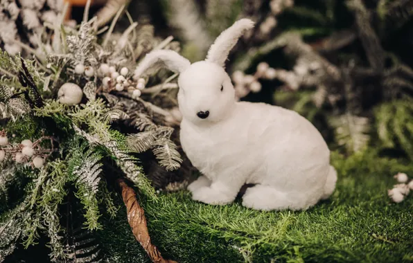 Картинка белый, игрушка, мох, заяц, кролик, Рождество, Новый год, папоротник