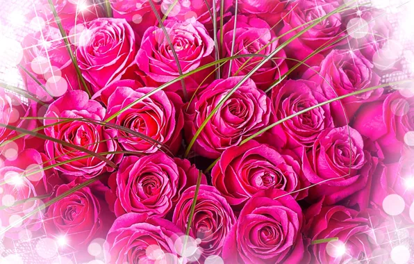 Цветы, букет, розовый фон, розовые розы