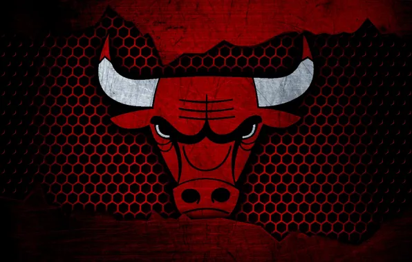 Wallpaper, sport, logo, basketball, NBA, Chicago Bulls