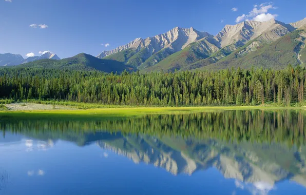 Картинка лес, горы, озеро, Канада, национальный парк