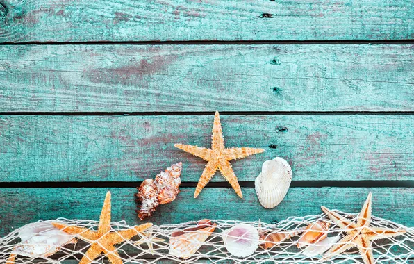 Картинка shells, starfish, mesh