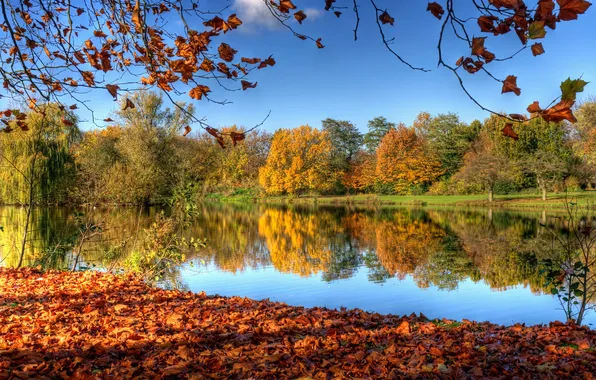 Картинка осень, небо, листья, деревья, природа, отражение, река, Нидерланды