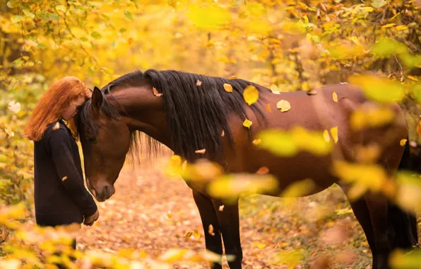 Картинка осень, девушка, конь