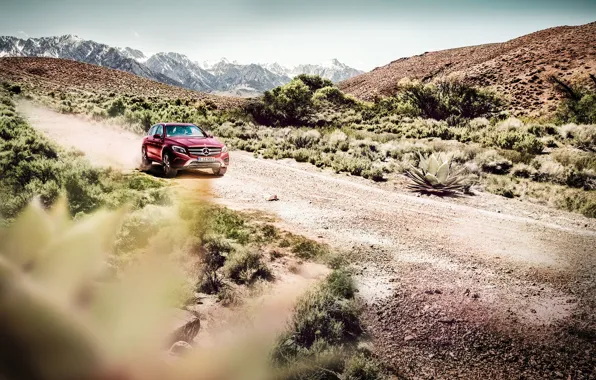 Горы, транспорт, растительность, автомобиль, Mercedes Benz GLC