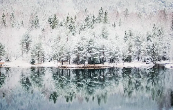 Осень, природа, Norge, Hordaland Fylke, Skulestadmo