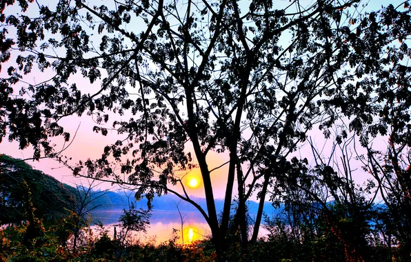 Sun, Water, Sunrise, Dawn, Morning, Lake, Trees, Reflection
