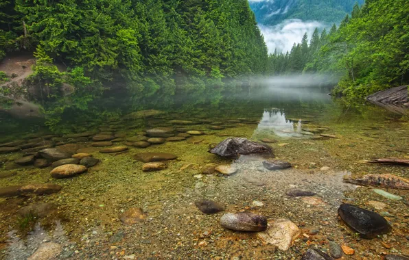 Картинка лес, деревья, горы, туман, озеро, река, камни, Canada