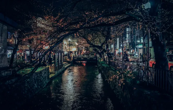 Картинка свет, деревья, ветки, люди, Япония, канал, Киото, автомобили