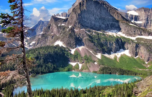 Картинка лес, горы, природа, озеро, Glacier National Park