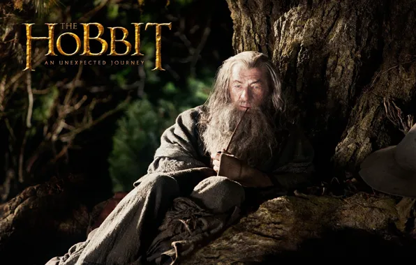 Картинка серый, дерево, трубка, маг, борода, актёр, Gandalf, гэндальф