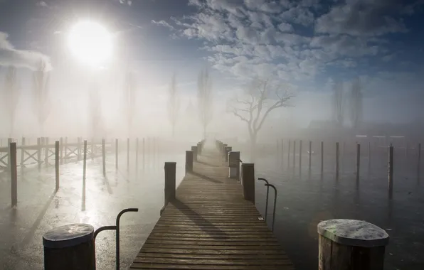 Картинка мост, город, туман, река, утро