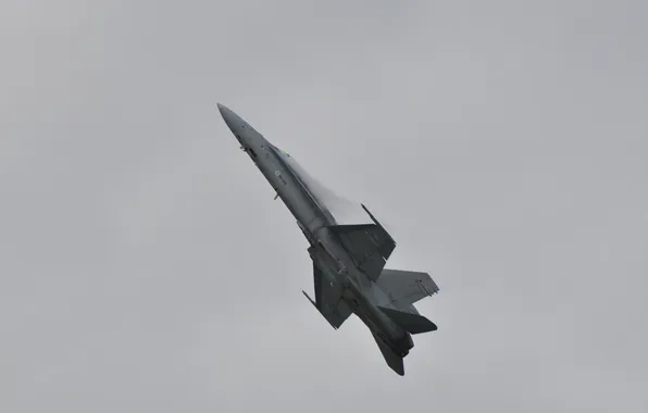 Картинка jet fighter, F-18 Hornet, greek air Force, airpower
