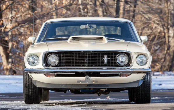 Mustang, Ford, Boss, 429