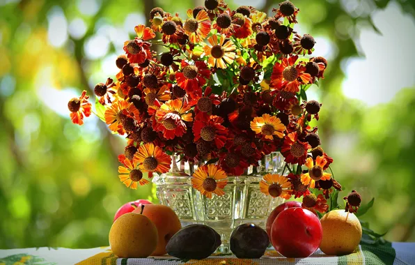Картинка осень, букет, фрукты, гелениум