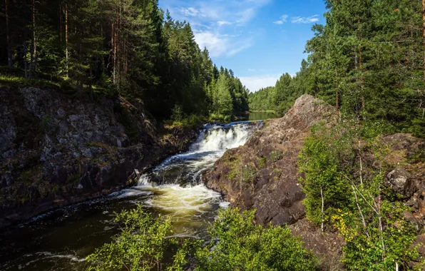 Деревья, природа, скалы, поток, горная река, dibr