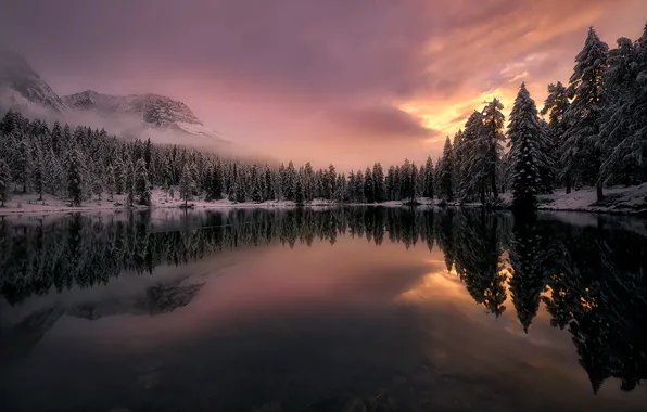Картинка зима, лес, снег, деревья, тучи, туман, озеро, отражение