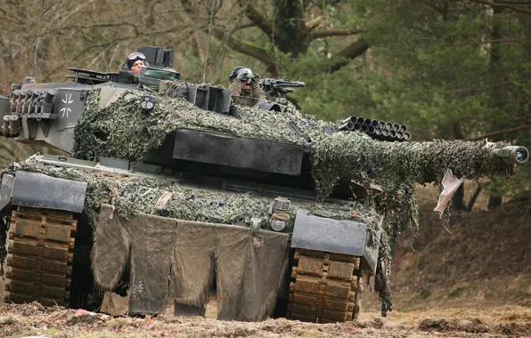 Лес, деревья, танк, Leopard 2A6