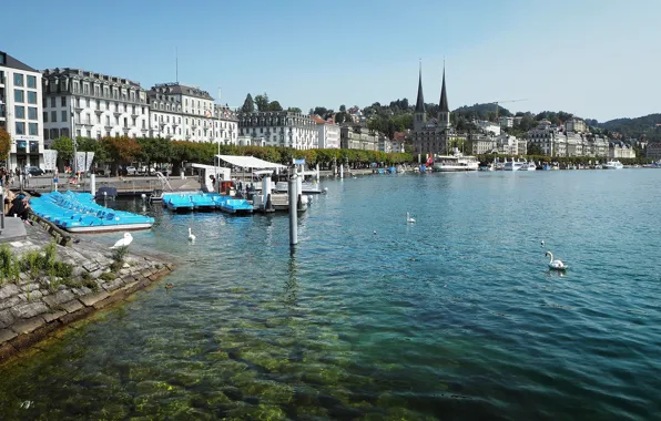 Люди, здания, набережная, катамаран, Luzern