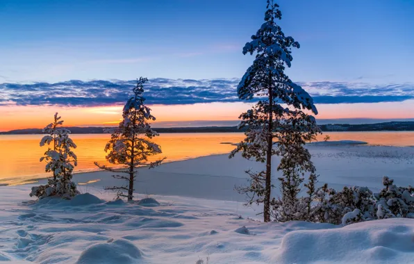 Картинка зима, снег, деревья, закат, озеро, Швеция, Sweden, Вермланд