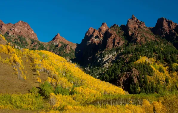 Картинка лес, деревья, горы, желтые, Colorado, Maroon Bells