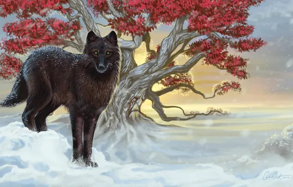 Картинка холод, зима, взгляд, листья, снег, ветки, дерево, животное