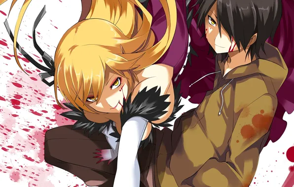 Девушка, аниме, арт, парень, Bakemonogatari