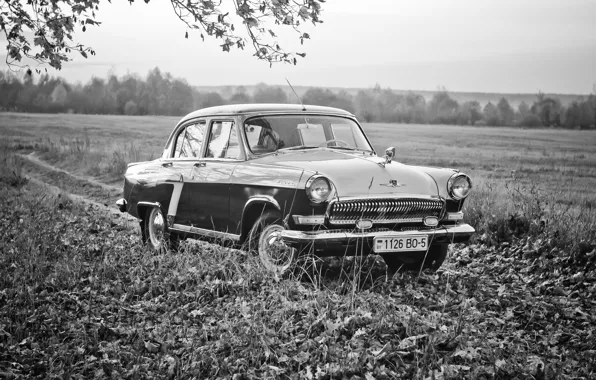 USSR, nature, Volga, landscape background, gaz-21