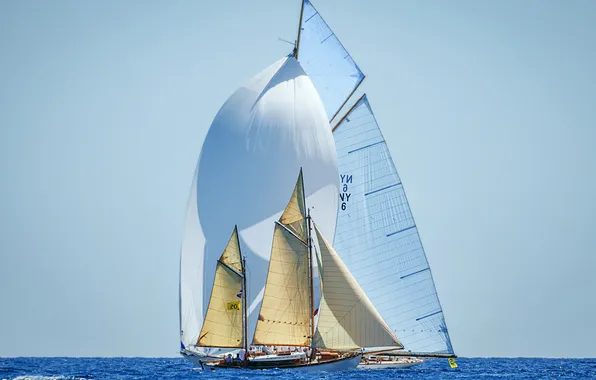Море, парусники, регата