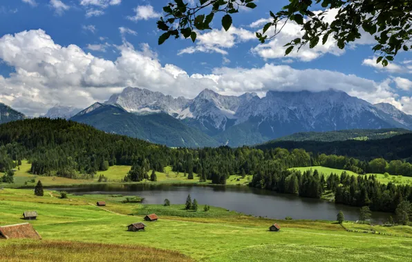Поле, лес, лето, небо, трава, листья, облака, горы
