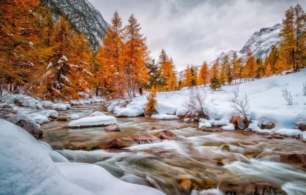 Картинка река, снег, лес, природа