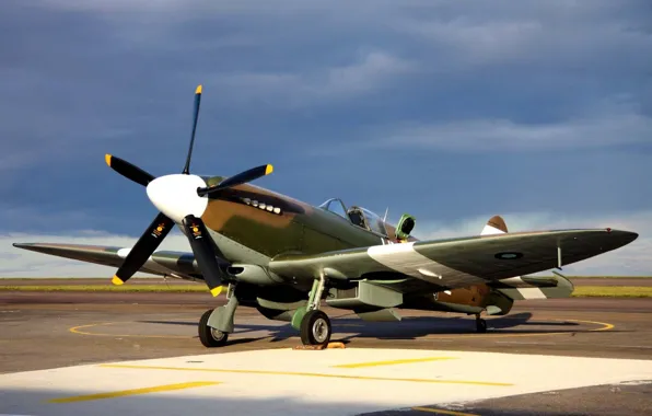 Картинка самолет, истребитель, Tomahawk, ВВС Великобритании, WW2, Curtiss P-40, military historical club, времен второй мировой войны