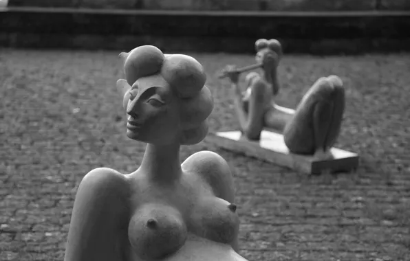 Art, Brazil, Brasil, Sculptures, Museum of São Paulo