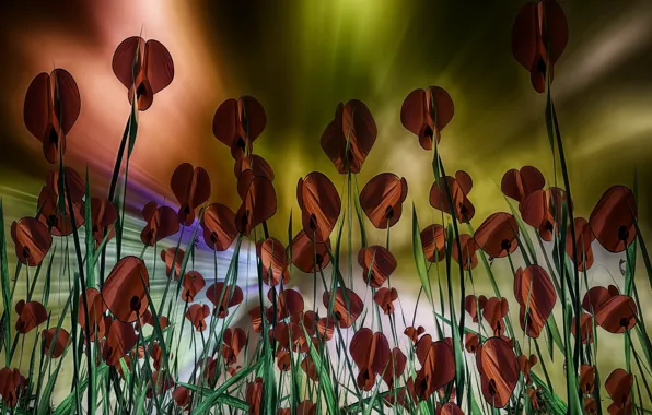 Фон, цвет, форма