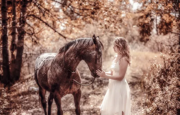 Девушка, природа, конь