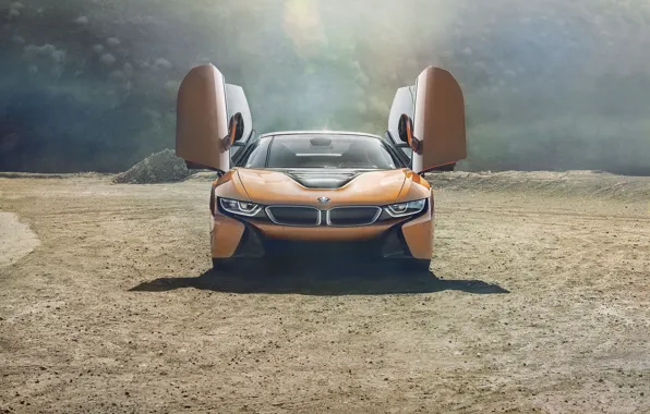 Двери, вид спереди, BMW i8