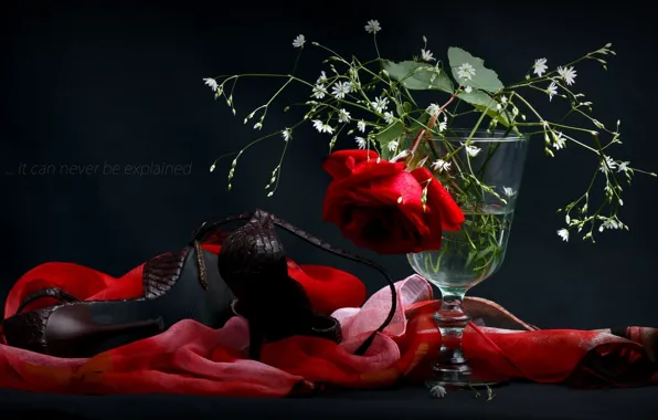 Картинка цветы, роза, туфли, ваза, платок