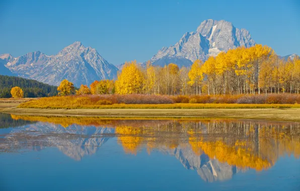Картинка осень, деревья, природа, озеро, США, штата Вайоминг, Гранд-Титон национальный парк, Mount Moran