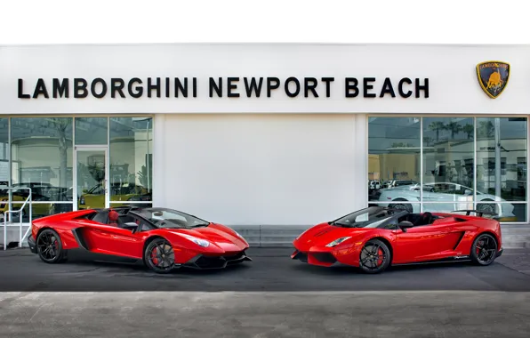 Lamborghini, Gallardo, Aventador, LP570-4 Spyder Performante, 50th Anniversary Edition, LP720-4 Roadster