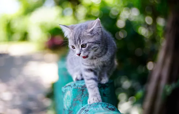 Картинка лето, фон, малыш